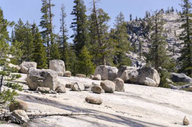 kayalar ve ağaçlar California'daki Yosemite Milli Parkı '