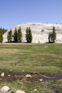 kayalar ve ağaçlar California'daki Yosemite Milli Parkı '