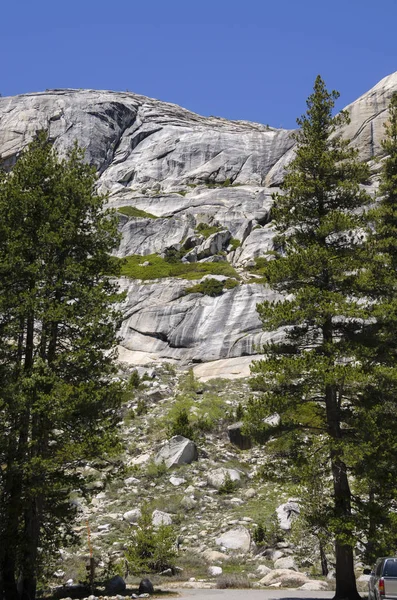加州约塞米蒂国家公园的岩石和树木 — 图库照片