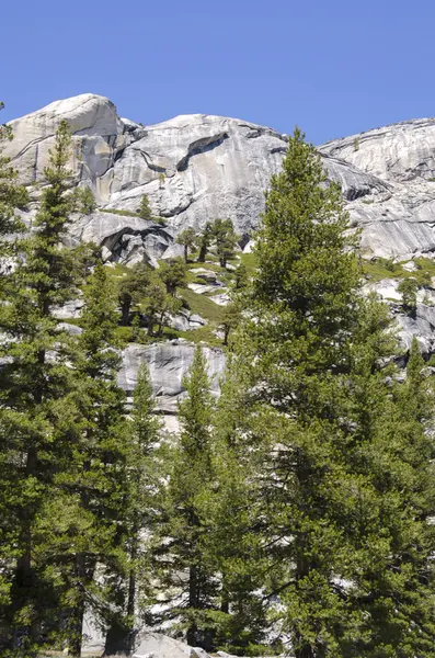 加州约塞米蒂国家公园的岩石和树木 — 图库照片