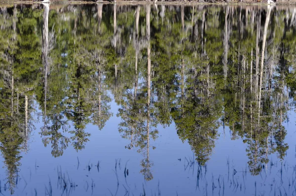 Озеро Река Национальном Парке Йосемити Калифорнии — стоковое фото