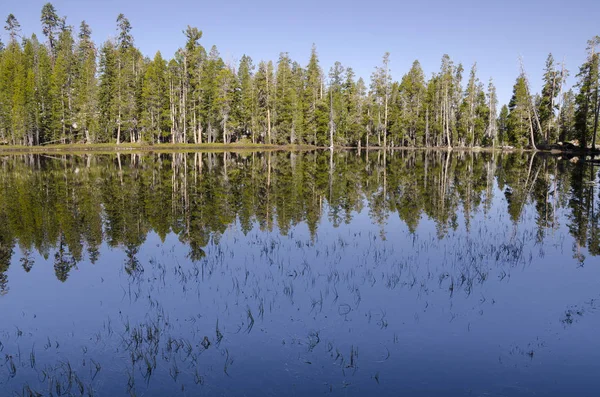 Jezero Řeka Yosemitském Národním Parku Kalifornii — Stock fotografie