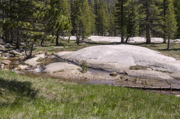 Rocce Alberi Nel Parco Nazionale Dello Yosemite California — Foto Stock