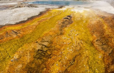 Wyoming 'deki Yellowstone Ulusal Parkı' nda gayzer.
