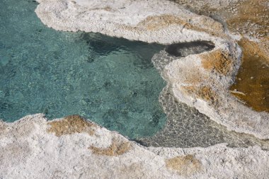 Wyoming 'deki Yellowstone Ulusal Parkı' nda gayzer.