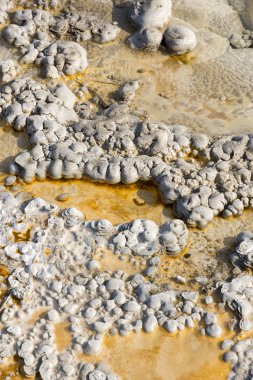 Wyoming 'deki Yellowstone Ulusal Parkı' nda gayzer.