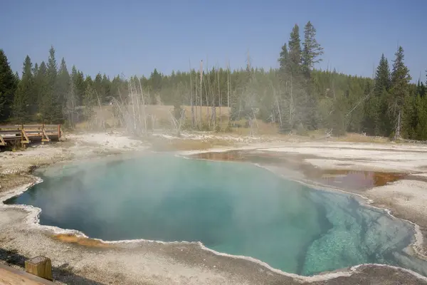 Geiser Nationaal Park Yellowstone Wyoming — Stockfoto