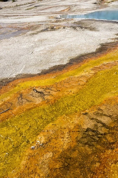 Geiser Parque Nacional Yellowstone Wyoming — Foto de Stock