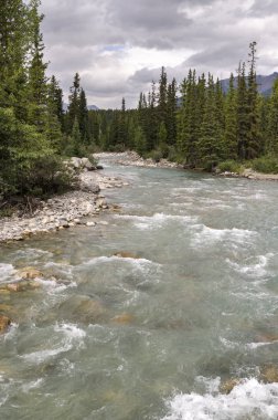 Yoho Milli Parkı Kanada takakkaw düşüyor