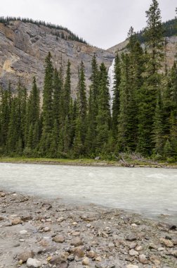 Yoho Milli Parkı Kanada takakkaw düşüyor