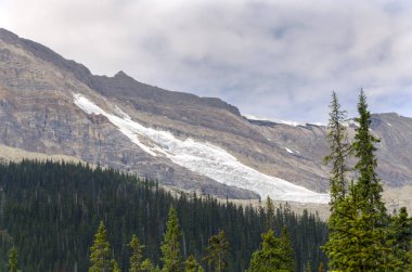 Yoho Milli Parkı Kanada takakkaw düşüyor