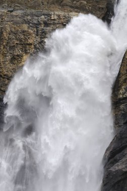 Yoho Milli Parkı Kanada takakkaw düşüyor