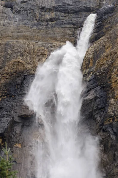 タカカウ滝カナダ ヨーホー国立公園 — ストック写真