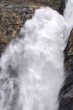 Yoho Milli Parkı Kanada takakkaw düşüyor