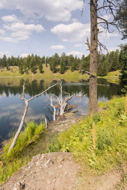 göller ve nehirler Yellowstone Milli Parkı'nda Wyoming