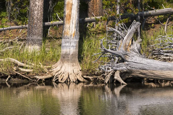 Lakes Rivers Yellowstone National Park Wyoming — Stock Photo, Image