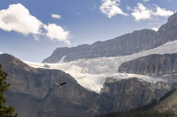 Lago Proa Día Nublado Verano Parque Nacional Banff Alberta Canadá —  Fotos de Stock