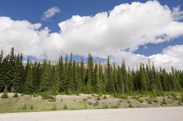 Lac Bow Par Temps Nuageux Été Dans Parc National Banff — Photo