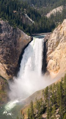 Yellowstone Nehri ve Wyoming Yellowstone Milli Parkı 'nda ingrand Kanyon düşüyor