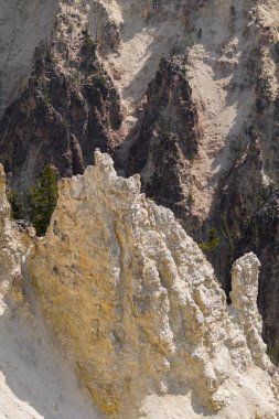 Yellowstone Nehri ve Wyoming Yellowstone Milli Parkı 'nda ingrand Kanyon düşüyor