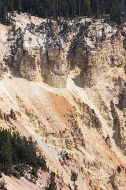 Yellowstone Nehri ve Wyoming Yellowstone Milli Parkı 'nda ingrand Kanyon düşüyor
