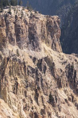 Yellowstone Nehri ve Wyoming Yellowstone Milli Parkı 'nda ingrand Kanyon düşüyor