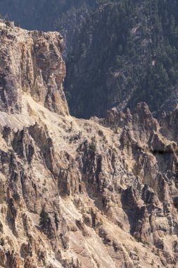 Yellowstone Nehri ve Wyoming Yellowstone Milli Parkı 'nda ingrand Kanyon düşüyor