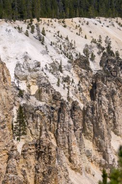 Yellowstone Nehri ve Wyoming Yellowstone Milli Parkı 'nda ingrand Kanyon düşüyor