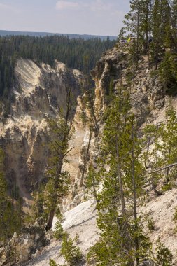 Yellowstone Nehri ve Wyoming Yellowstone Milli Parkı 'nda ingrand Kanyon düşüyor