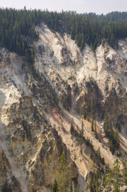 Yellowstone Nehri ve Wyoming Yellowstone Milli Parkı 'nda ingrand Kanyon düşüyor