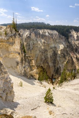 Yellowstone Nehri ve Wyoming Yellowstone Milli Parkı 'nda ingrand Kanyon düşüyor