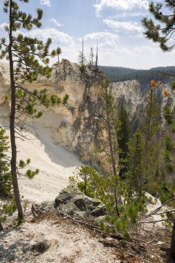 Yellowstone Nehri ve Wyoming Yellowstone Milli Parkı 'nda ingrand Kanyon düşüyor