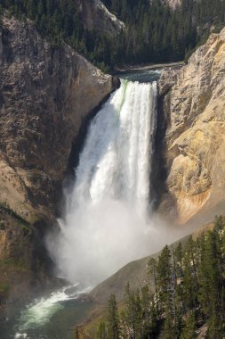 Yellowstone Nehri ve Wyoming Yellowstone Milli Parkı 'nda ingrand Kanyon düşüyor