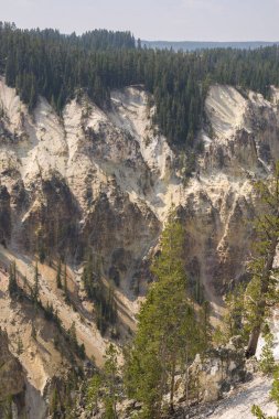 Yellowstone Nehri ve Wyoming Yellowstone Milli Parkı 'nda ingrand Kanyon düşüyor
