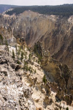 Yellowstone Nehri ve Wyoming Yellowstone Milli Parkı 'nda ingrand Kanyon düşüyor