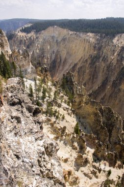 Yellowstone Nehri ve Wyoming Yellowstone Milli Parkı 'nda ingrand Kanyon düşüyor