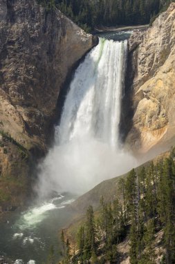 Yellowstone Nehri ve Wyoming Yellowstone Milli Parkı 'nda ingrand Kanyon düşüyor
