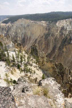 Yellowstone Nehri ve Wyoming Yellowstone Milli Parkı 'nda ingrand Kanyon düşüyor