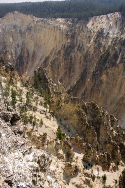 Yellowstone Nehri ve Wyoming Yellowstone Milli Parkı 'nda ingrand Kanyon düşüyor