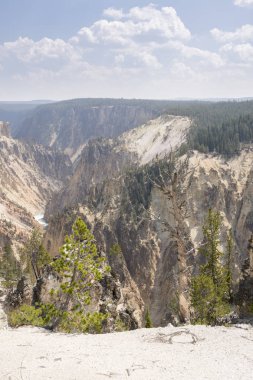 Yellowstone Nehri ve Wyoming Yellowstone Milli Parkı 'nda ingrand Kanyon düşüyor