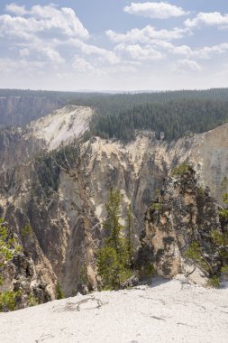 Yellowstone Nehri ve Wyoming Yellowstone Milli Parkı 'nda ingrand Kanyon düşüyor