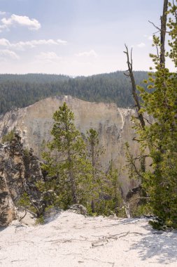 Yellowstone Nehri ve Wyoming Yellowstone Milli Parkı 'nda ingrand Kanyon düşüyor