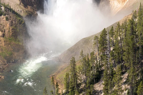 Río Yellowstone Cae Gran Cañón Parque Nacional Yellowstone Wyoming —  Fotos de Stock