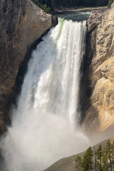 Yellowstone River Och Faller Ingrand Canyon Yellowstone National Park Wyoming — Stockfoto