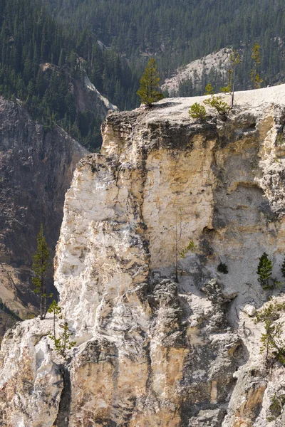 Nažloutlá Řeka Padá Něj Yellowstonské Národní Park Wyomingu — Stock fotografie