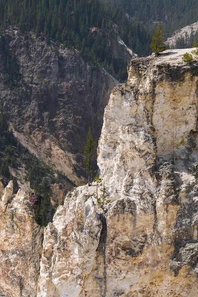 Río Yellowstone Cae Gran Cañón Parque Nacional Yellowstone Wyoming — Foto de Stock