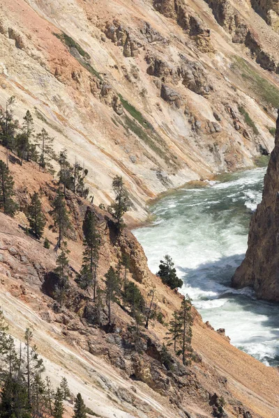 Río Yellowstone Cae Gran Cañón Parque Nacional Yellowstone Wyoming — Foto de Stock