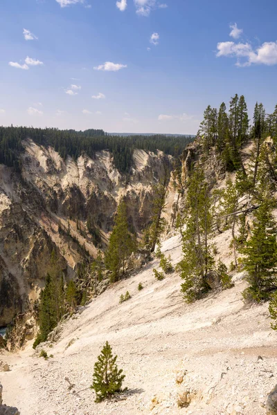 Nažloutlá Řeka Padá Něj Yellowstonské Národní Park Wyomingu — Stock fotografie