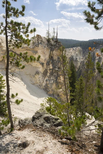 Yellowstone River Falls Ingrand Canyon Yellowstone National Park Wyoming — Stockfoto