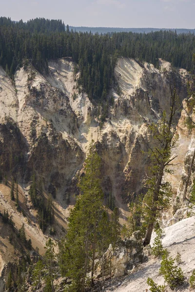 Yellowstone Nehri ve Wyoming Yellowstone Milli Parkı 'nda ingrand Kanyon düşüyor
